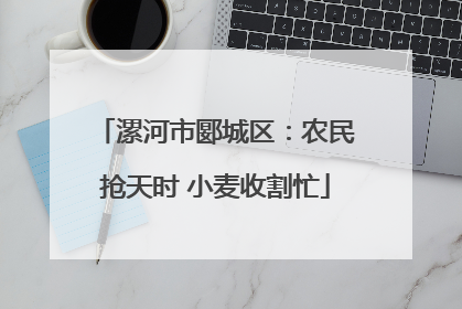 漯河市郾城区：农民抢天时 小麦收割忙
