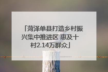 菏泽单县打造乡村振兴集中推进区 惠及十村2.14万群众