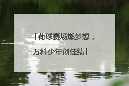 荷球赛场燃梦想，万科少年创佳绩