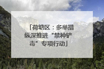 荷塘区：多举措纵深推进“禁种铲毒”专项行动
