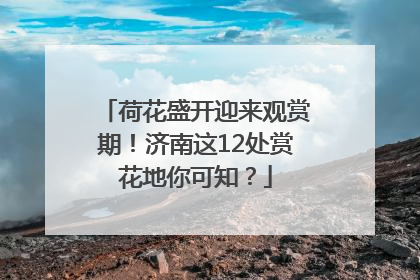 荷花盛开迎来观赏期！济南这12处赏花地你可知？
