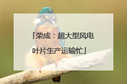荣成：超大型风电叶片生产运输忙