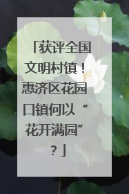 获评全国文明村镇！惠济区花园口镇何以“花开满园”？