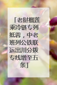 老挝榴莲乘冷链专列抵蓉，中老班列公铁联运出川分拨专线增至五条