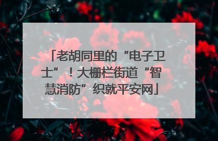 老胡同里的“电子卫士”！大栅栏街道“智慧消防”织就平安网