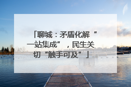 聊城：矛盾化解“一站集成”，民生关切“触手可及”