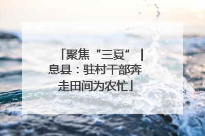 聚焦“三夏”｜息县：驻村干部奔走田间为农忙