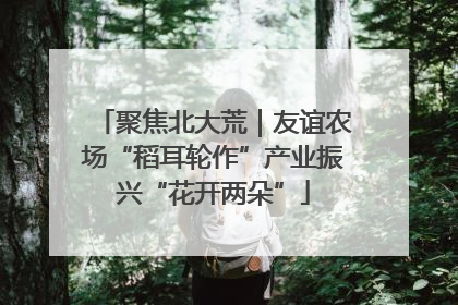 聚焦北大荒｜友谊农场“稻耳轮作”产业振兴“花开两朵”