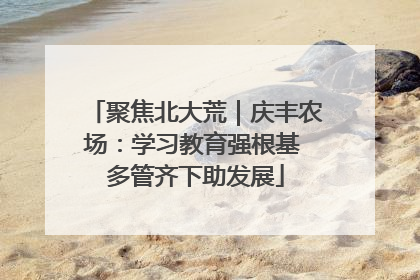 聚焦北大荒｜庆丰农场：学习教育强根基 多管齐下助发展