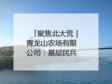 聚焦北大荒｜青龙山农场有限公司：基层民兵参与农业环境综合治理显效