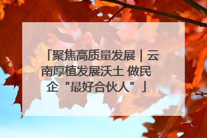 聚焦高质量发展｜云南厚植发展沃土 做民企“最好合伙人”