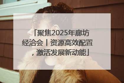 聚焦2025年廊坊经洽会丨资源高效配置，激活发展新动能