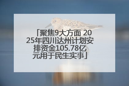 聚焦9大方面 2025年四川达州计划安排资金105.78亿元用于民生实事