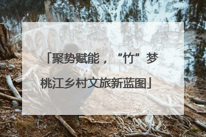 聚势赋能，“竹”梦桃江乡村文旅新蓝图