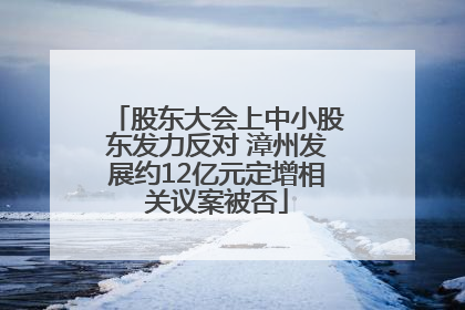 股东大会上中小股东发力反对 漳州发展约12亿元定增相关议案被否