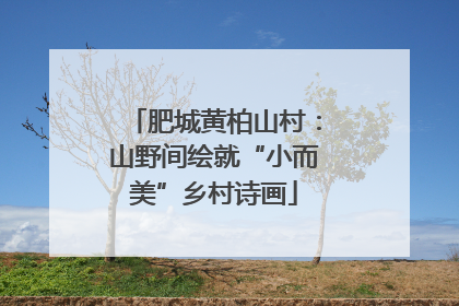 肥城黄柏山村：山野间绘就“小而美”乡村诗画