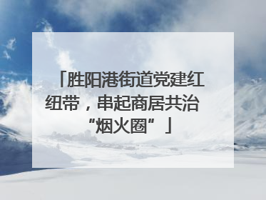 胜阳港街道党建红纽带，串起商居共治 “烟火圈”