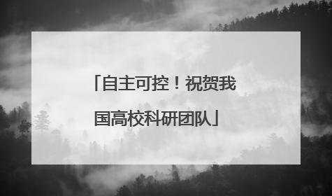 自主可控！祝贺我国高校科研团队