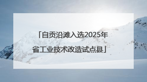 自贡沿滩入选2025年省工业技术改造试点县