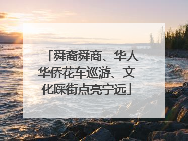 舜裔舜商、华人华侨花车巡游、文化踩街点亮宁远