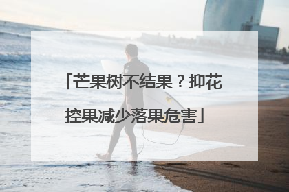 芒果树不结果？抑花控果减少落果危害