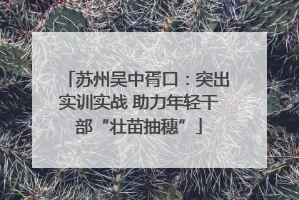 苏州吴中胥口：突出实训实战 助力年轻干部“壮苗抽穗”