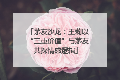 茅友沙龙：王莉以“三重价值”与茅友共探情感逻辑