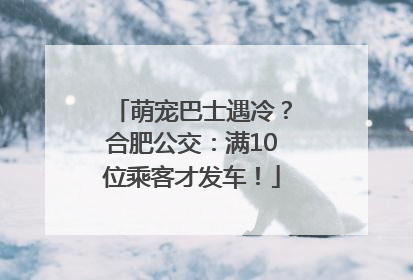 萌宠巴士遇冷？合肥公交：满10位乘客才发车！