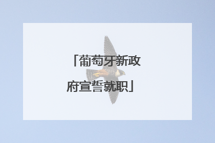 葡萄牙新政府宣誓就职