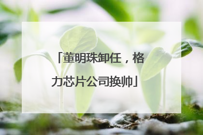 董明珠卸任，格力芯片公司换帅
