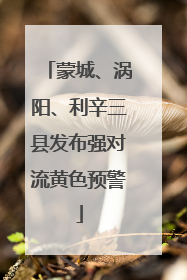 蒙城、涡阳、利辛三县发布强对流黄色预警