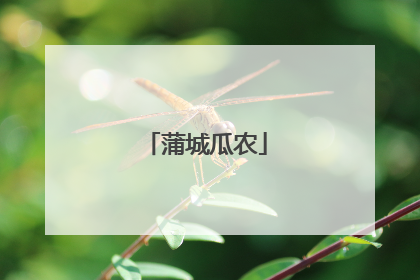 蒲城瓜农
