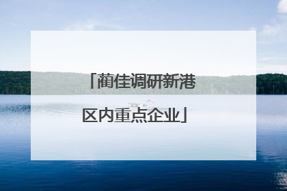 蔺佳调研新港区内重点企业
