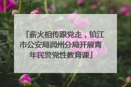 薪火相传跟党走，镇江市公安局润州分局开展青年民警党性教育课