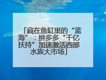 藏在鱼缸里的“蓝海”：拼多多“千亿扶持”加速激活西部水族大市场