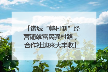 诸城“整村制”经营铺就富民强村路，合作社迎来大丰收
