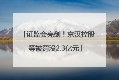 证监会亮剑！京汉控股等被罚没2.3亿元