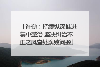 许勤：持续纵深推进集中整治 坚决纠治不正之风查处腐败问题