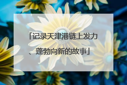 记录天津港链上发力、蓬勃向新的故事