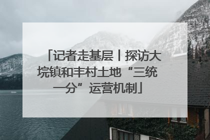记者走基层丨探访大垸镇和丰村土地“三统一分”运营机制