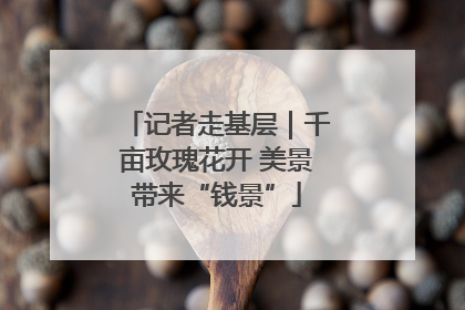 记者走基层｜千亩玫瑰花开 美景带来“钱景”