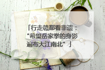 行走赣鄱看非遗：“希望岳家拳的身影遍布大江南北”