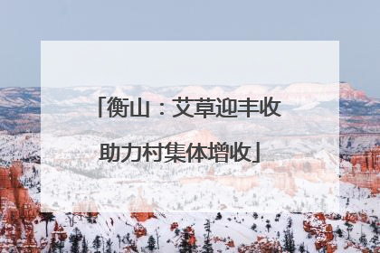 衡山：艾草迎丰收 助力村集体增收