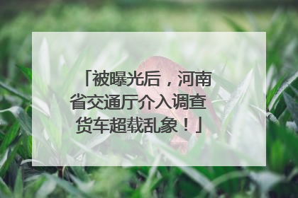 被曝光后，河南省交通厅介入调查货车超载乱象！
