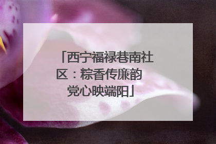 西宁福禄巷南社区：粽香传廉韵 党心映端阳
