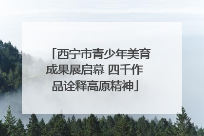 西宁市青少年美育成果展启幕 四千作品诠释高原精神
