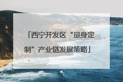 西宁开发区“量身定制”产业链发展策略