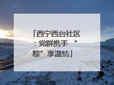 西宁西台社区：党群携手 “粽”享温情