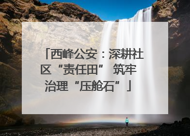 西峰公安：深耕社区“责任田” 筑牢治理“压舱石”