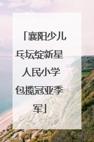 襄阳少儿乓坛绽新星 人民小学包揽冠亚季军
